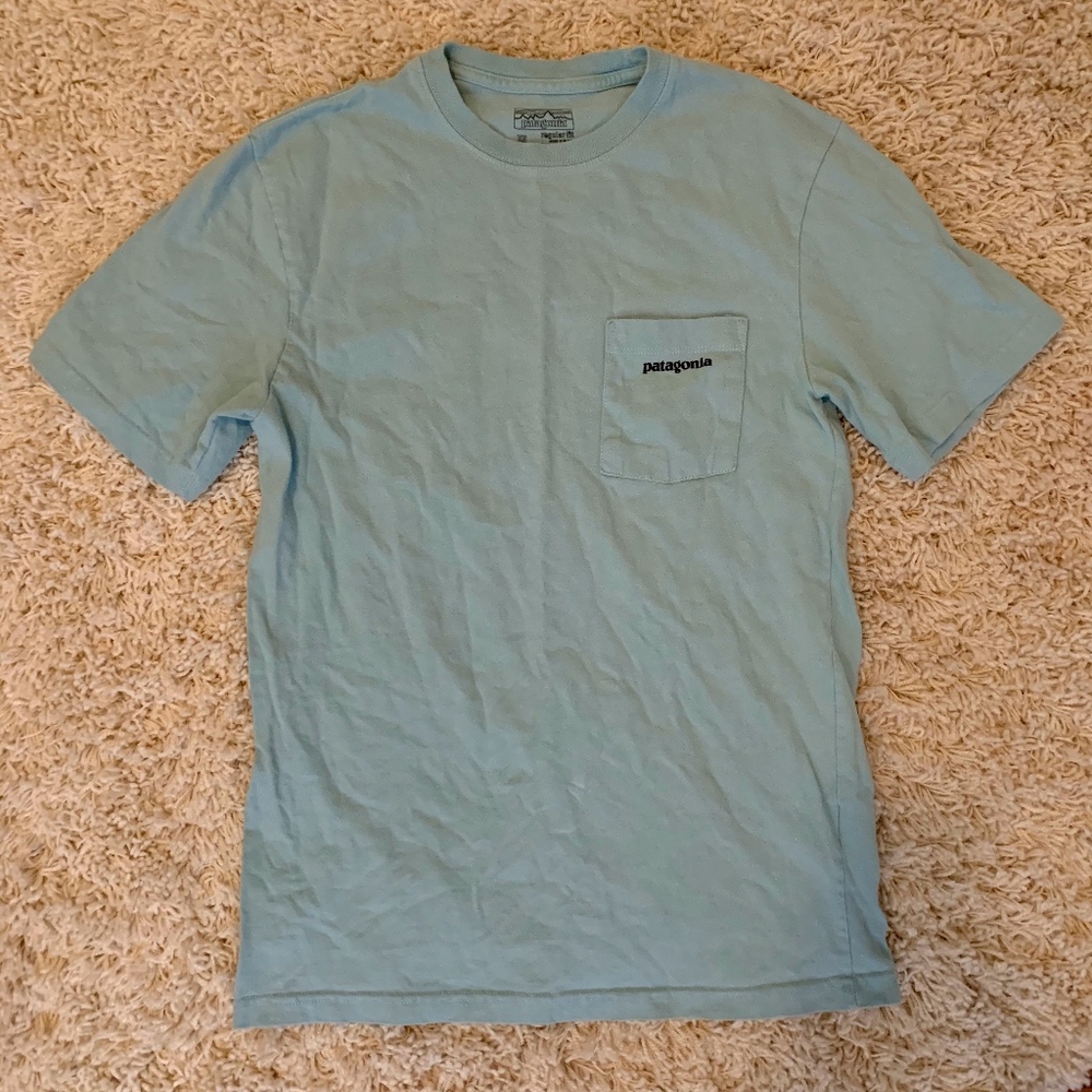 Short Sleeve Patagonia Tee